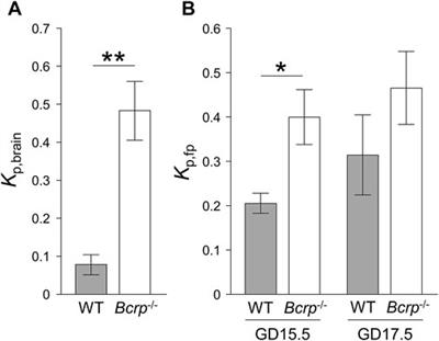 Quantitative Comparison of Breast Cancer Resistance Protein (BCRP/ABCG2) Expression and Function Between Maternal Blood-Brain Barrier and Placental Barrier in Mice at Different Gestational Ages